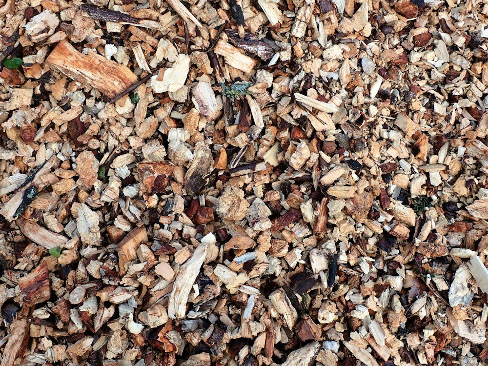 A close-up of fresh wood chips and stump grindings